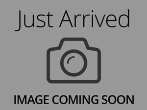 Shihpoo-DOG-Male-Tri-Colored-15290-Petland Pickerington
